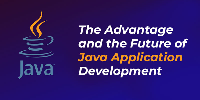 The Advantage and the Future of Java Application Development